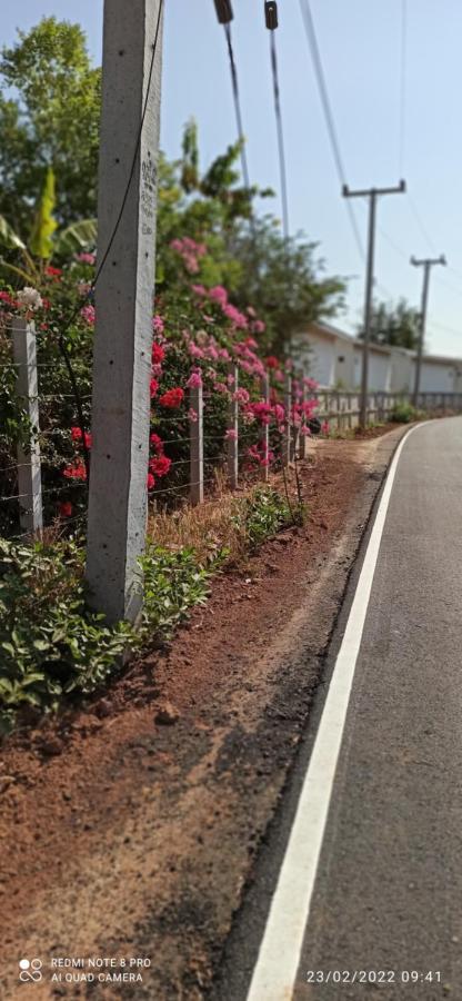 Homestay568 Branch 2 Muang Suang Esterno foto